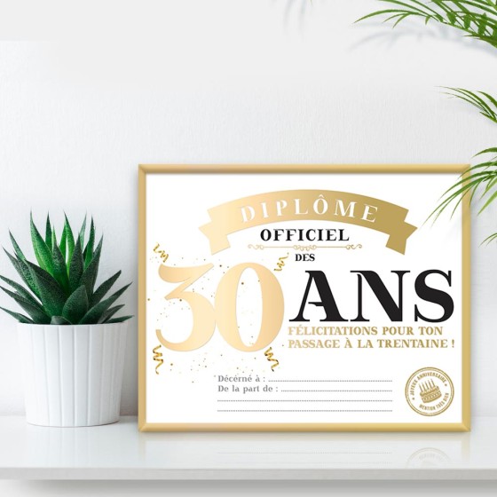 CADRE DIPLOME 30 ANS