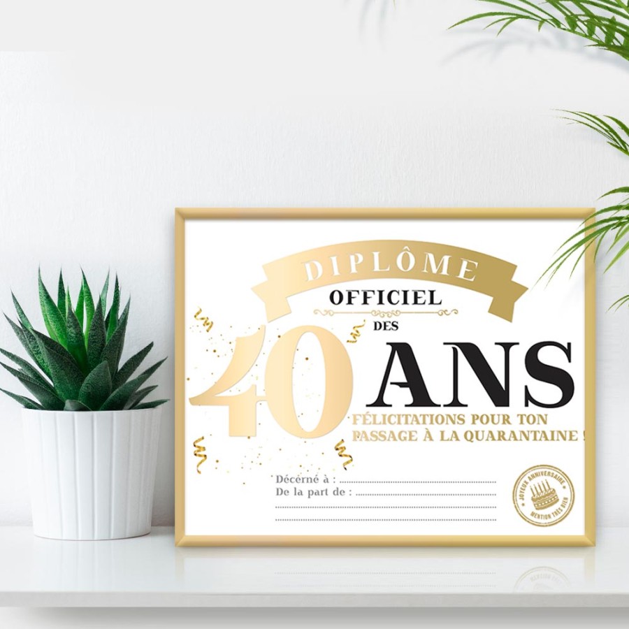 CADRE DIPLOME 40 ANS