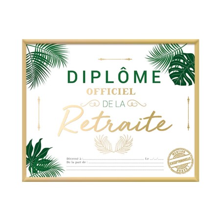 CADRE DIPLOME RETRAITE