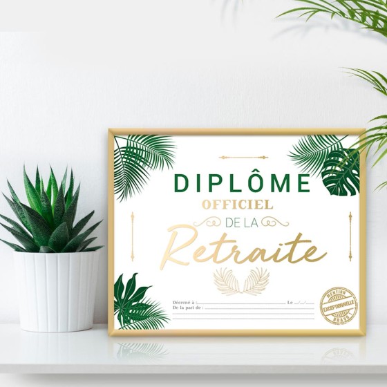 CADRE DIPLOME RETRAITE