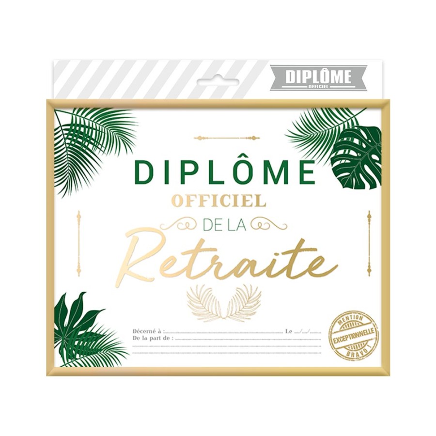 CADRE DIPLOME RETRAITE