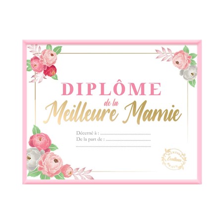 CADRE DIPLOME MEILLEURE MAMIE