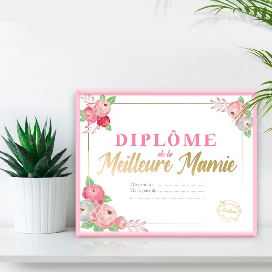 CADRE DIPLOME MEILLEURE MAMIE