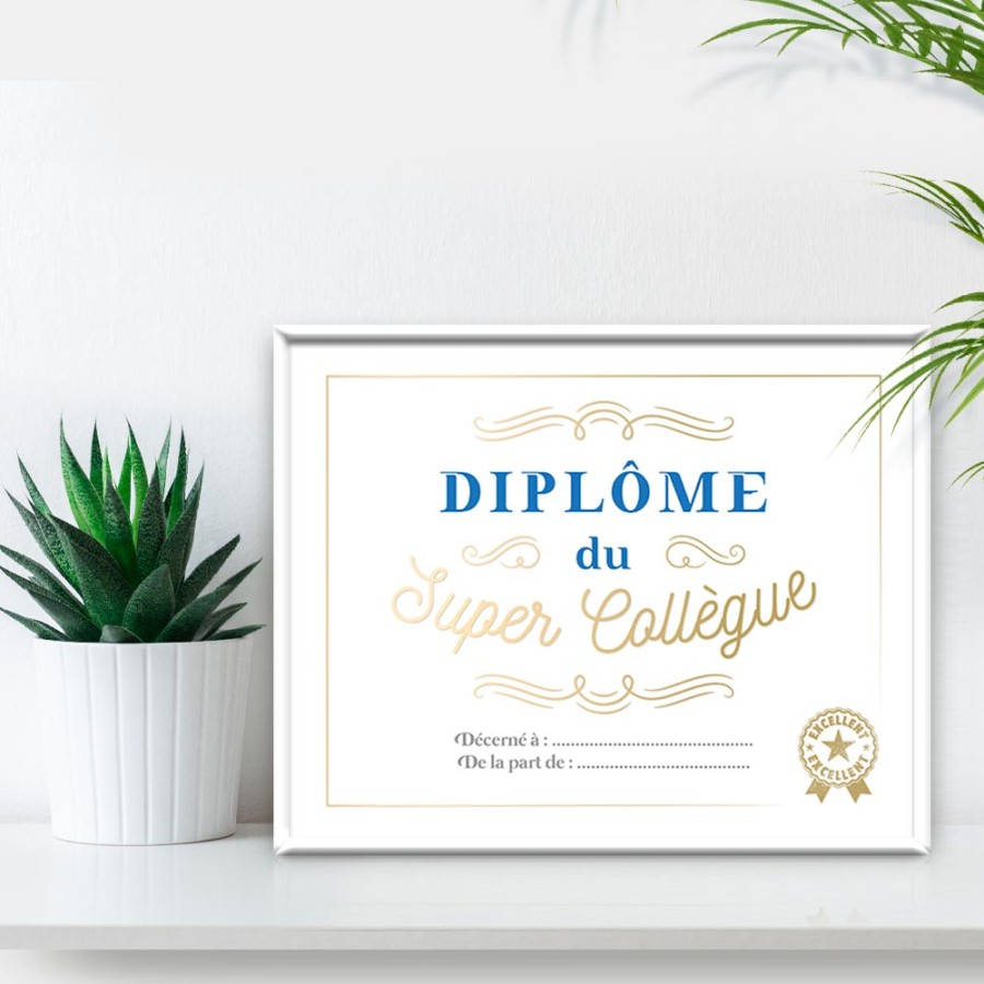 CADRE DIPLOME SUPER COLLEGUE