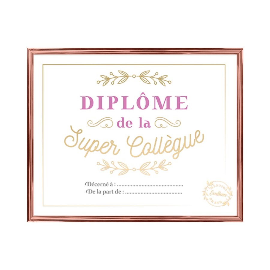 CADRE DIPLOME LA SUPER COLLEGUE