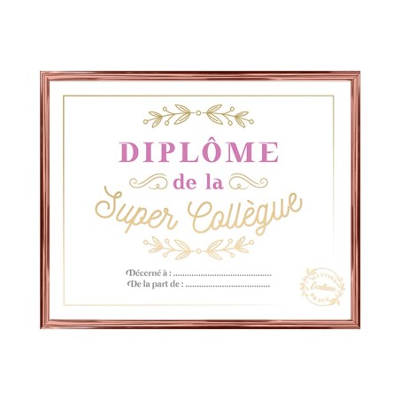 CADRE DIPLOME LA SUPER COLLEGUE