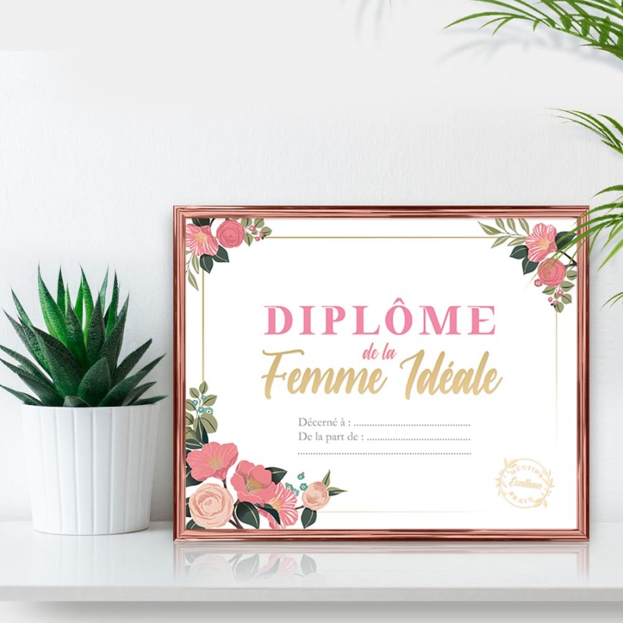 CADRE DIPLOME FEMME IDEALE