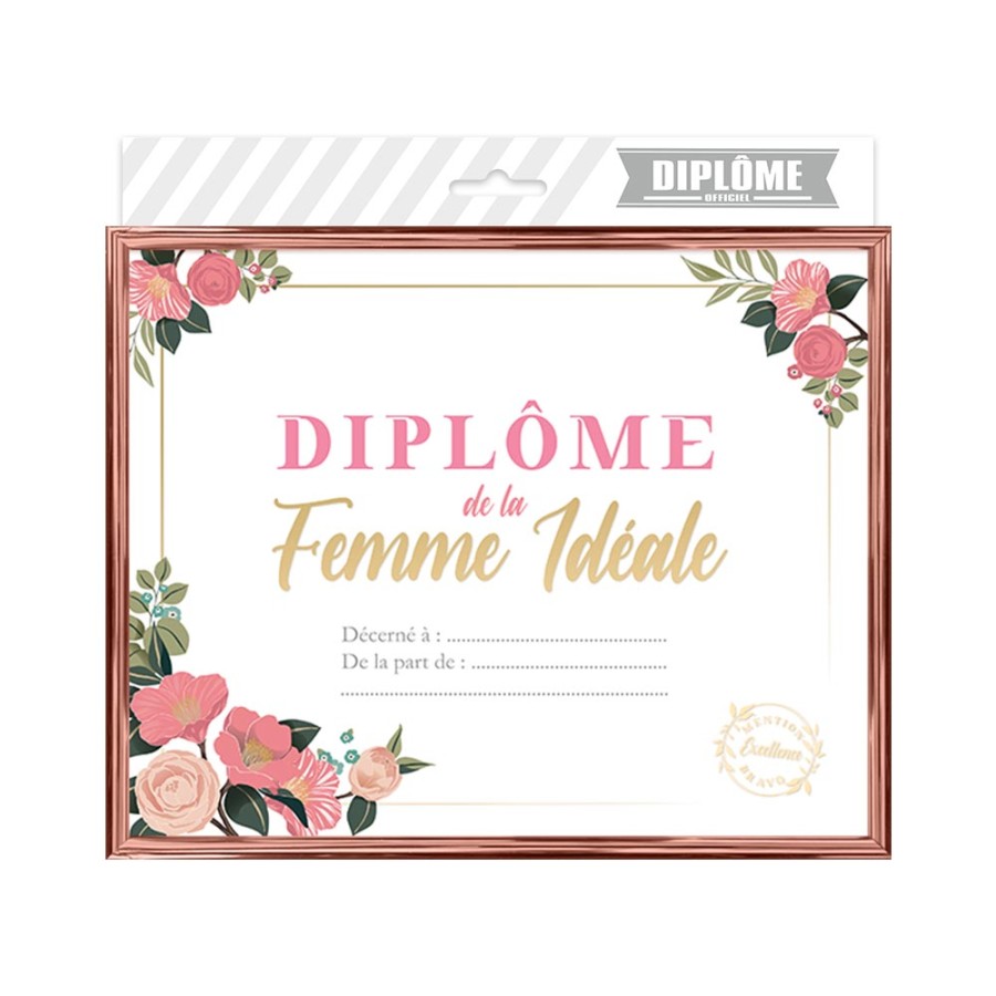 CADRE DIPLOME FEMME IDEALE