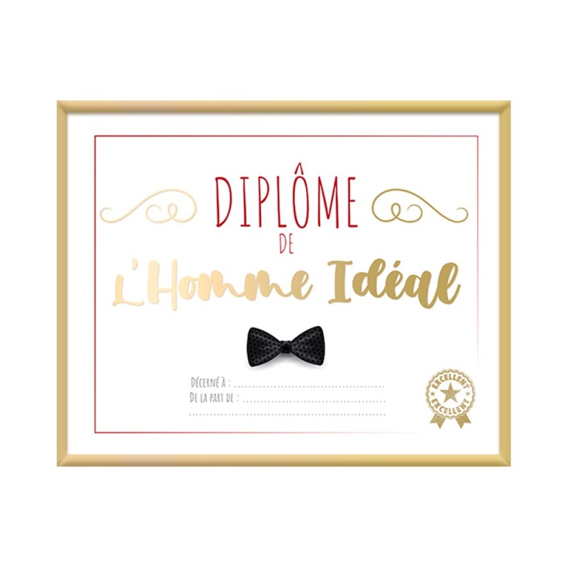 CADRE DIPLOME HOMME IDEAL