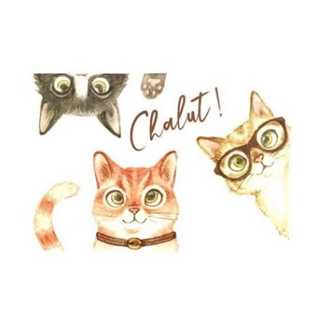 SET DE TABLE 'CHAVA' 