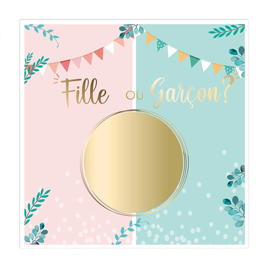 SACHET 6 CARTES GENDER FILLE