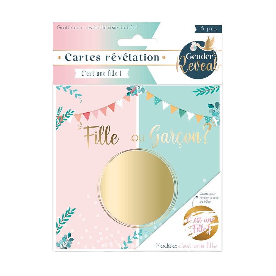 SACHET 6 CARTES GENDER FILLE