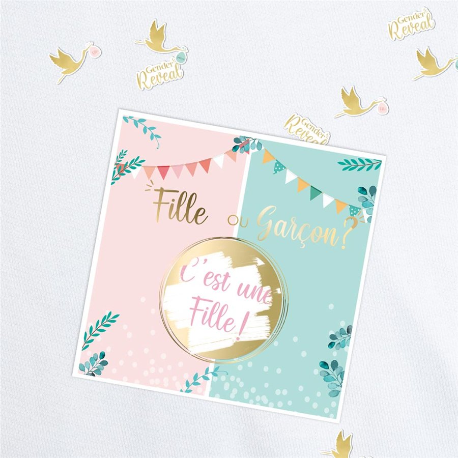 SACHET 6 CARTES GENDER FILLE