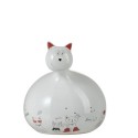 POULE DESSOUS CHAT GM B