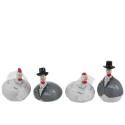 POULE MARRIER D