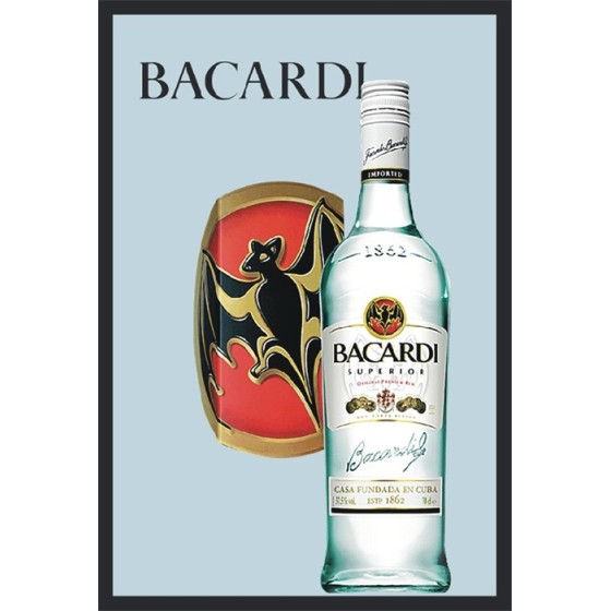 MIRROIR L.359 BACARDI 