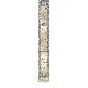 CD10313V04@3.webp