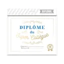 Cadre Diplome Super Collegue
