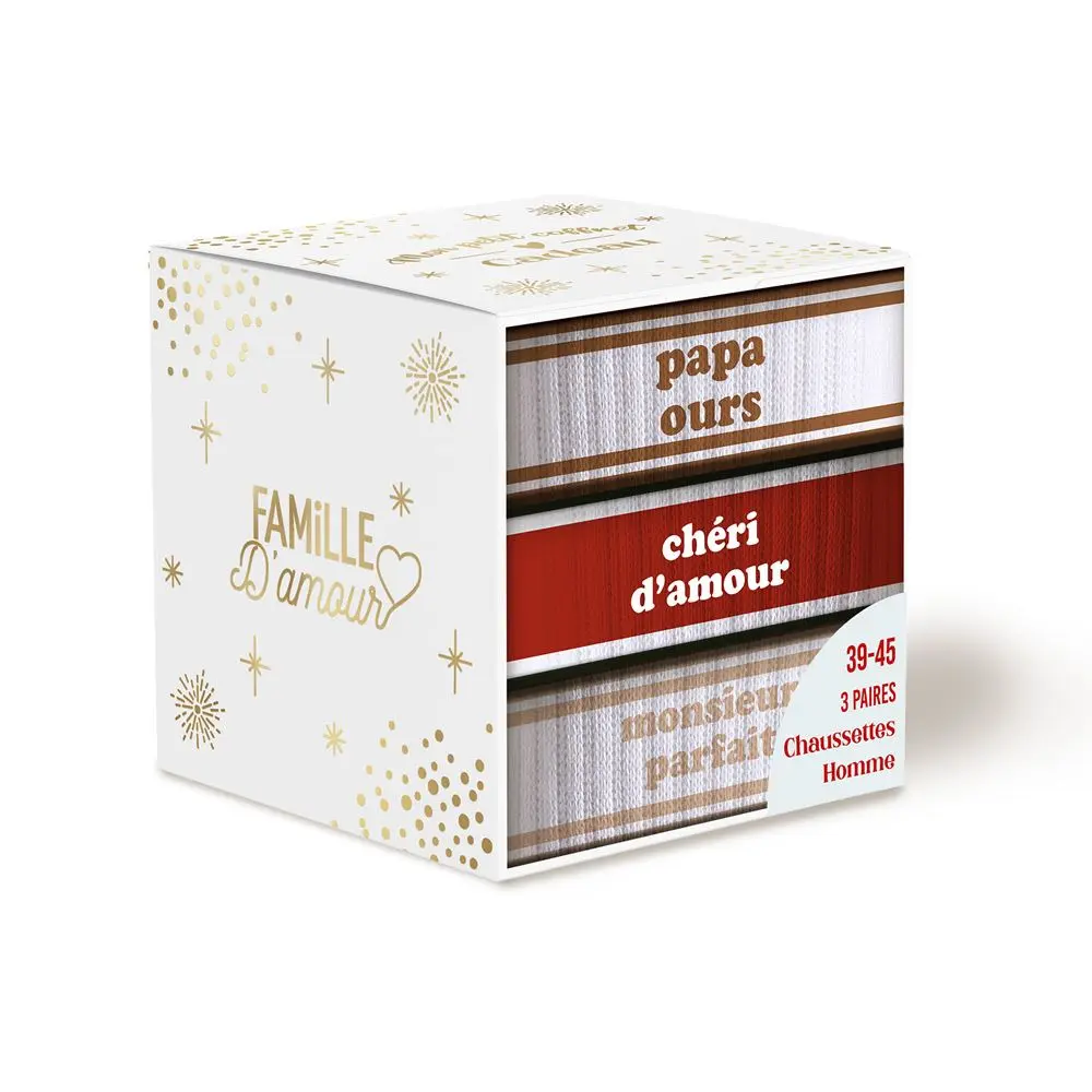 [STC-CD10058V20] Coffret Trio Chaussettes Papa Ours
