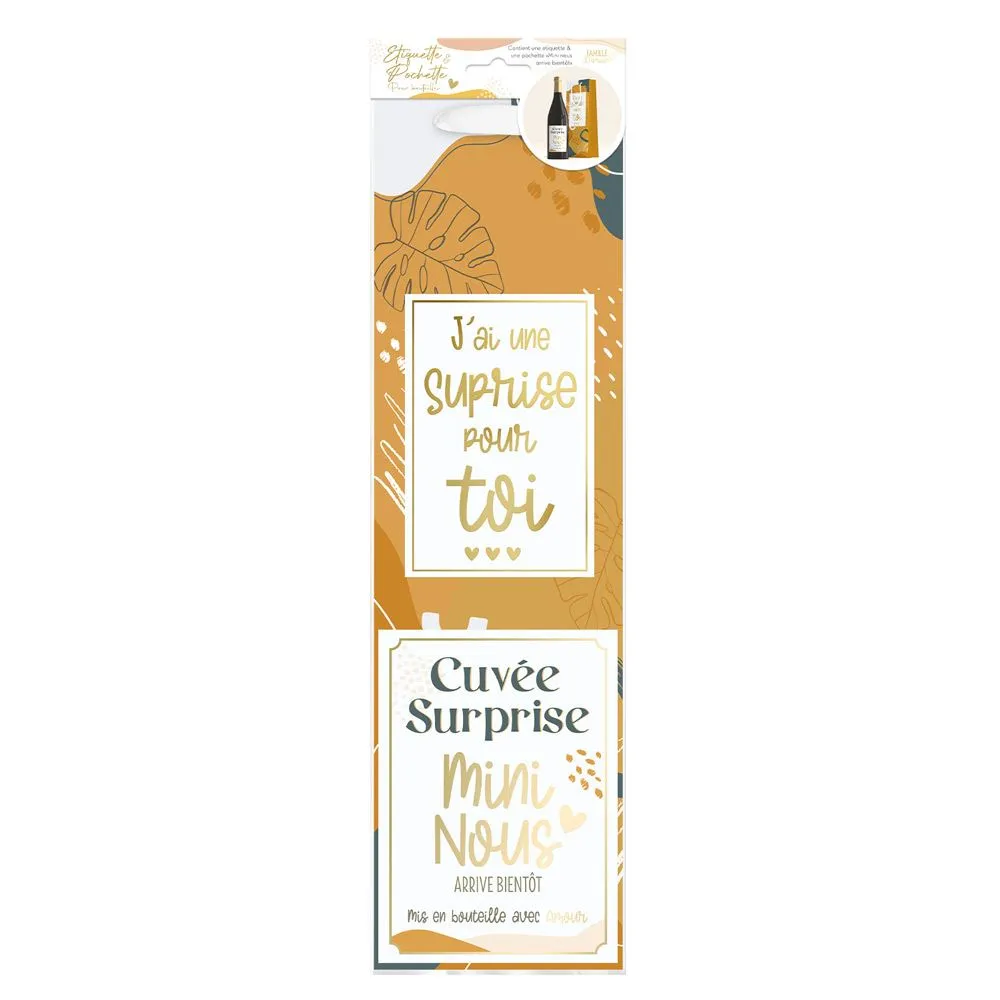 [STC-CD7923V07] Kit Bouteille Annonce "Mini Nous"