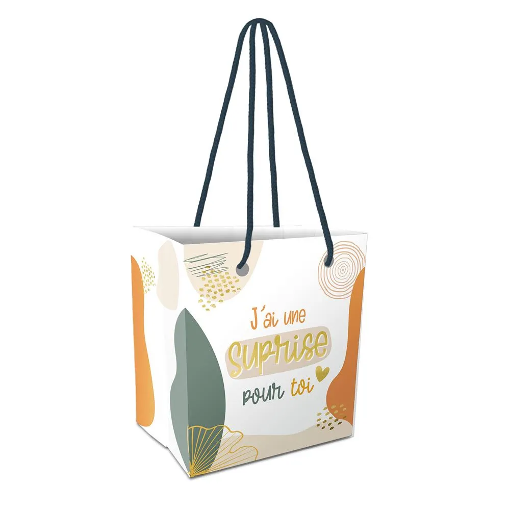 [STC-CD7929] Pochette Mug "J Ai Une Surprise Pour Toi"