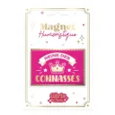 Magnet Humo Connasses