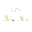 Duo Deco De Table Gender Reveal